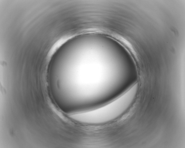 X0000091351373200708101029