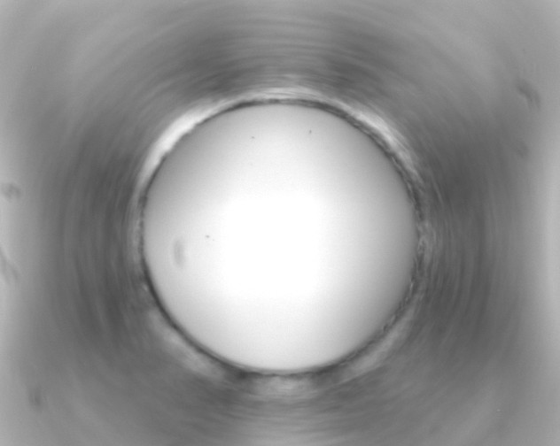 X0000091351374200708101029