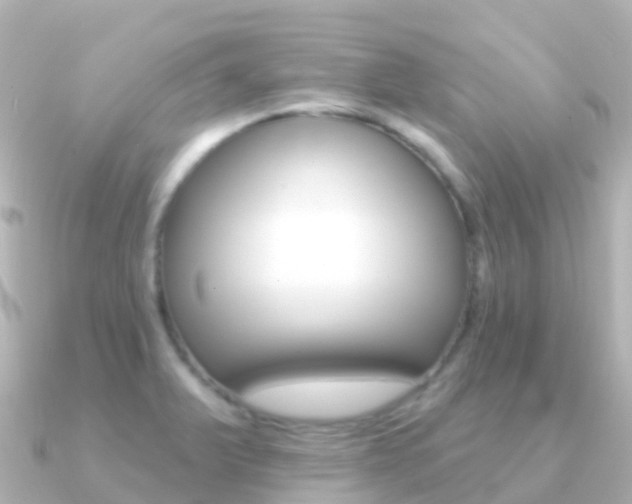 X0000091351375200708101029