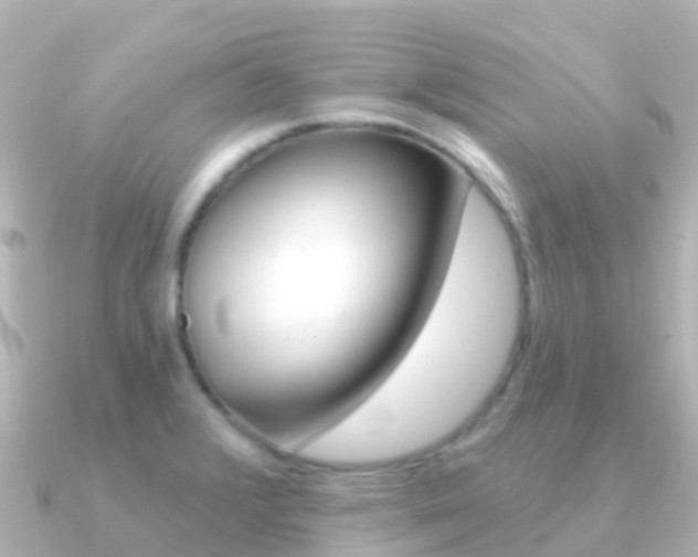X0000091351376200708101029