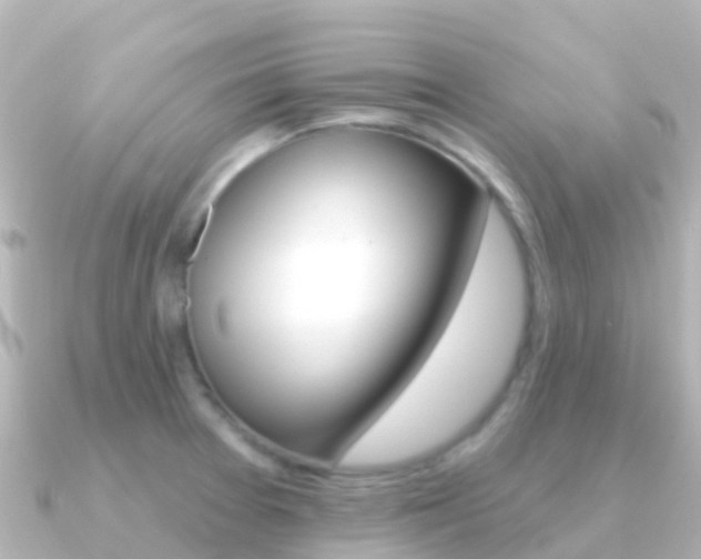 X0000091351377200708101029