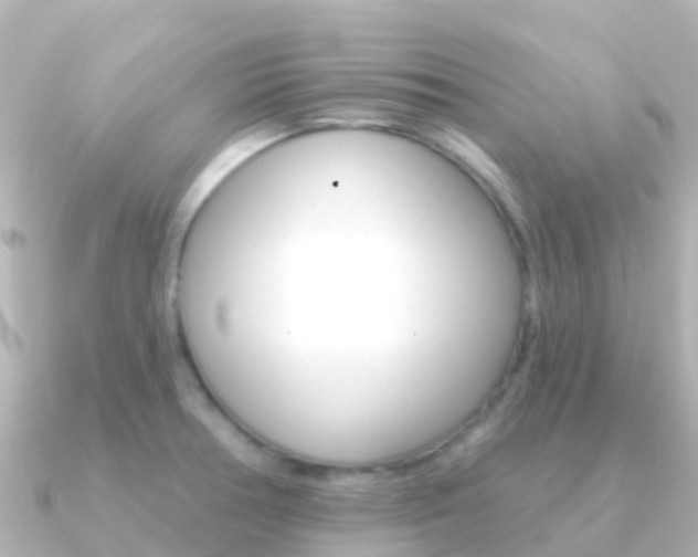X0000091351378200708101029
