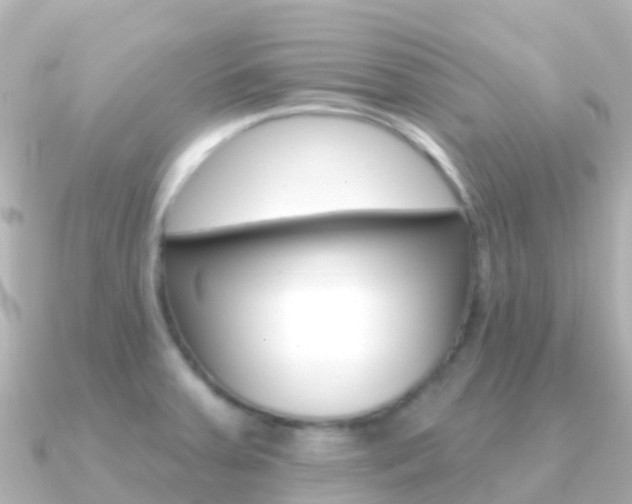 X0000091351379200708101029