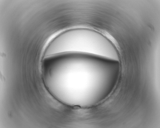 X0000091351380200708101029