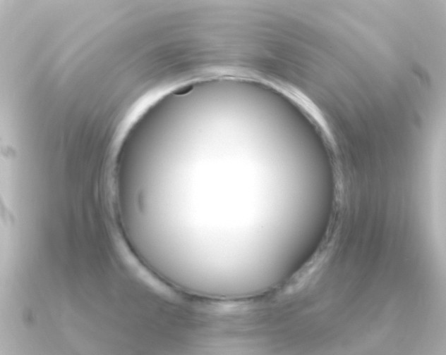 X0000091351381200708101029