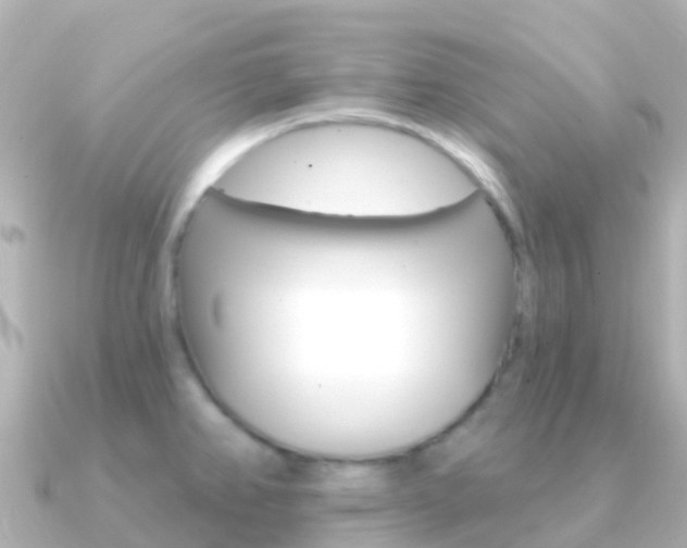 X0000091351382200708101029
