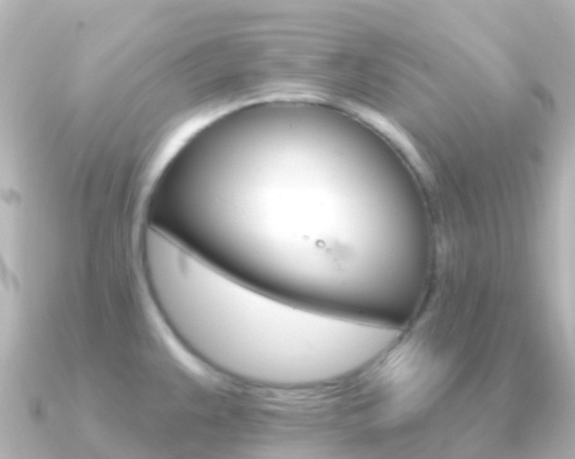 X0000091351383200708101029