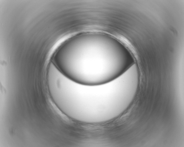 X0000091351384200708101029