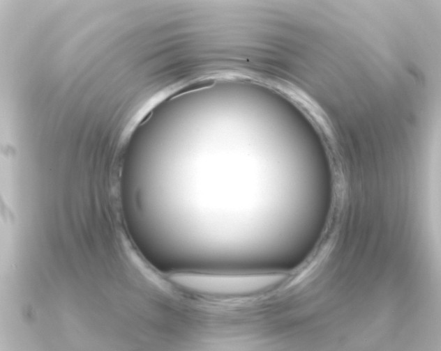 X0000091351385200708101029