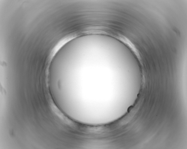 X0000091351386200708101029