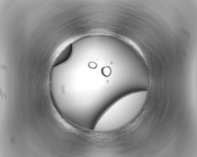 X0000091351387200708101029