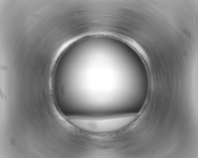 X0000091351388200708101029