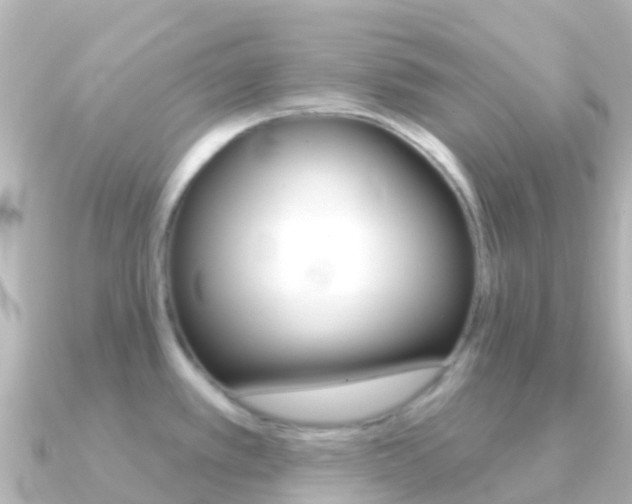 X0000091351389200708101029