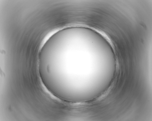 X0000091351390200708101029