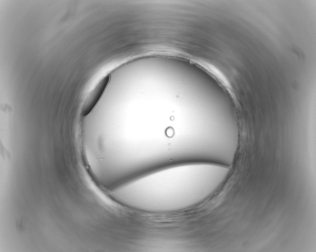 X0000091351391200708101029