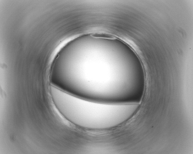 X0000091351392200708101029