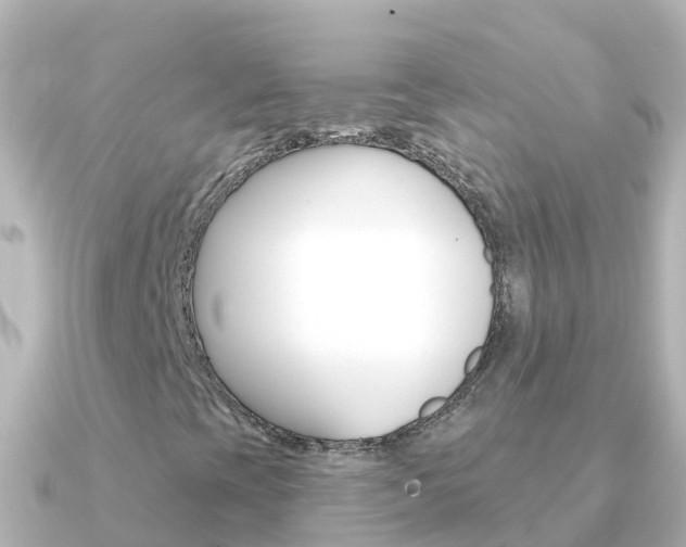 X0000091351393200708101029