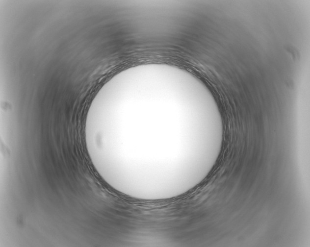 X0000091351394200708101029