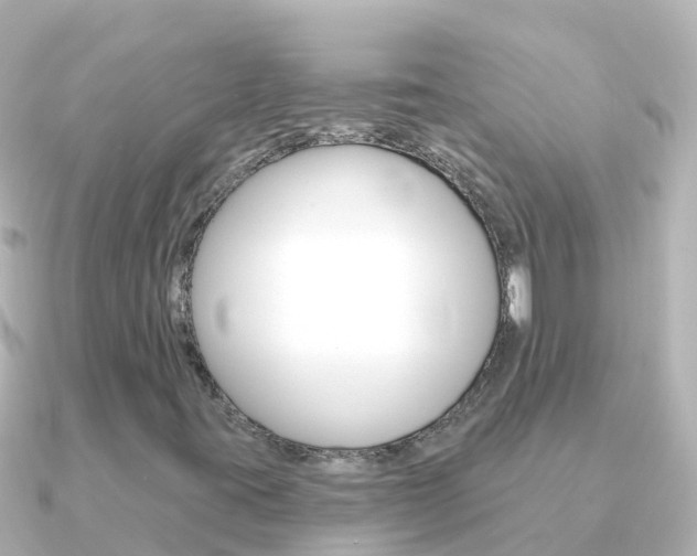 X0000091351395200708101029