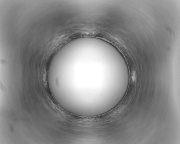 X0000091351396200708101029