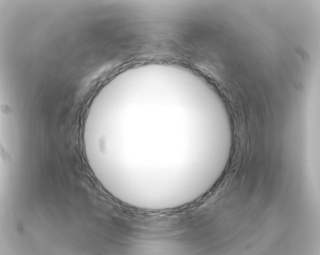 X0000091351398200708101029