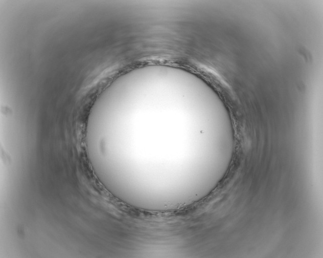 X0000091351399200708101029