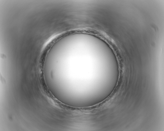 X0000091351400200708101029