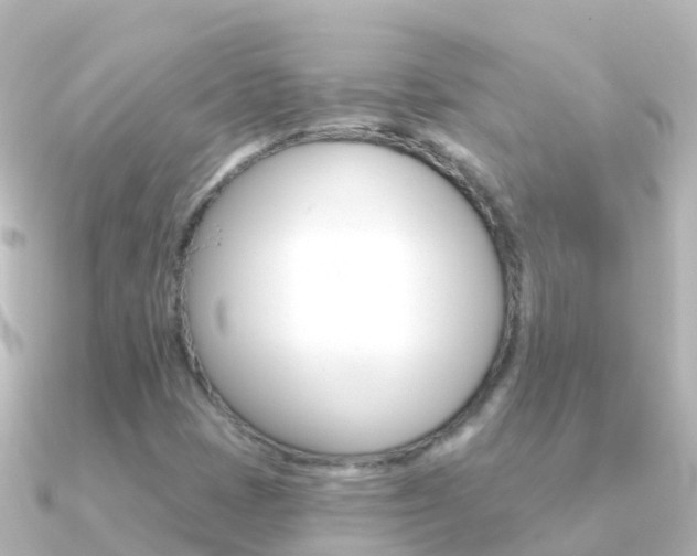 X0000091351401200708101029