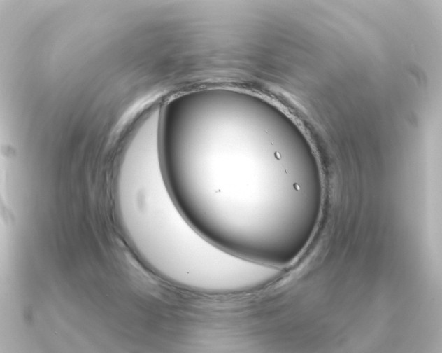 X0000091351402200708101029