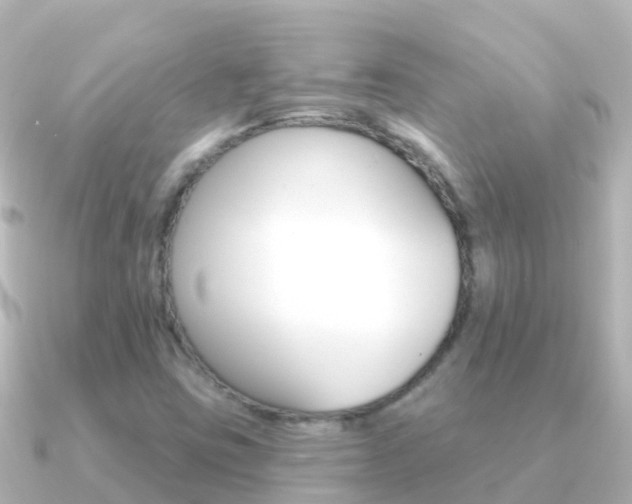 X0000091351403200708101029