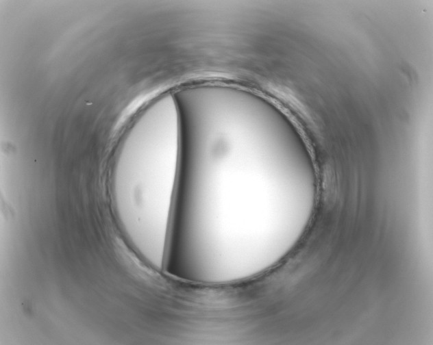 X0000091351404200708101029