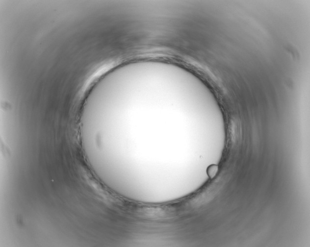 X0000091351405200708101029