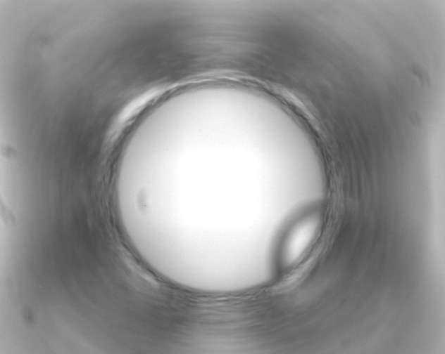 X0000091351406200708101029