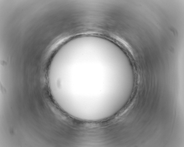 X0000091351407200708101029