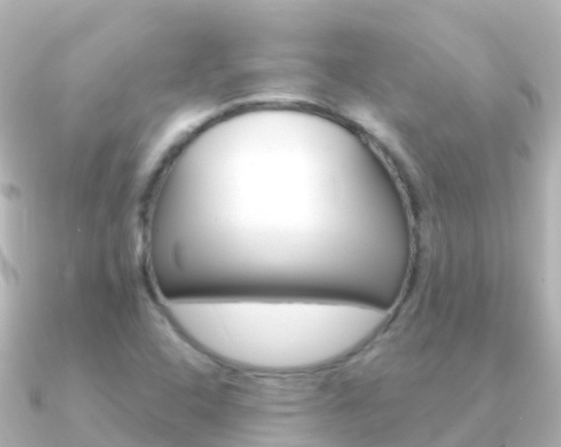 X0000091351408200708101029