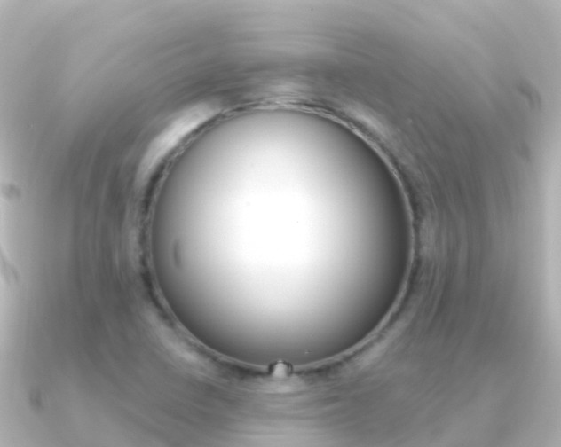 X0000091351410200708101029