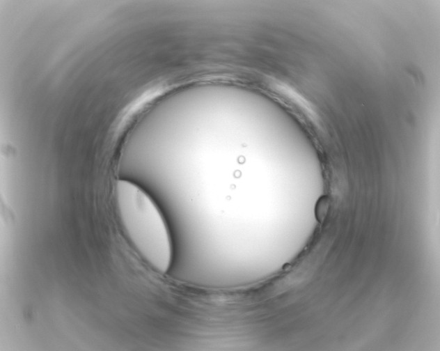 X0000091351411200708101029