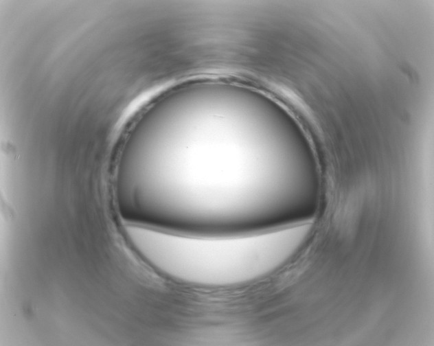 X0000091351412200708101029