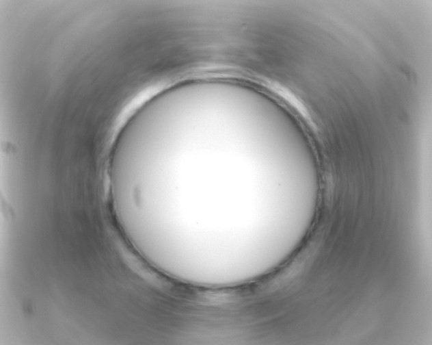 X0000091351413200708101029