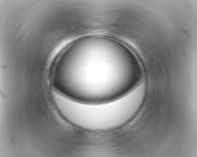 X0000091351414200708101029
