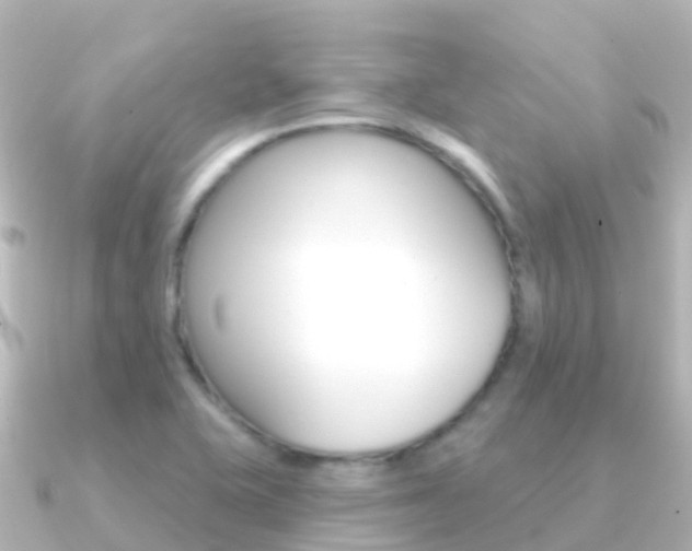 X0000091351415200708101029
