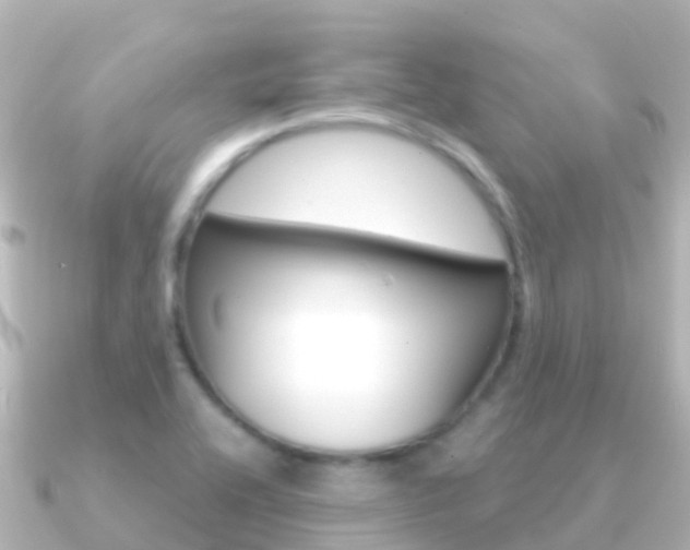 X0000091351416200708101029