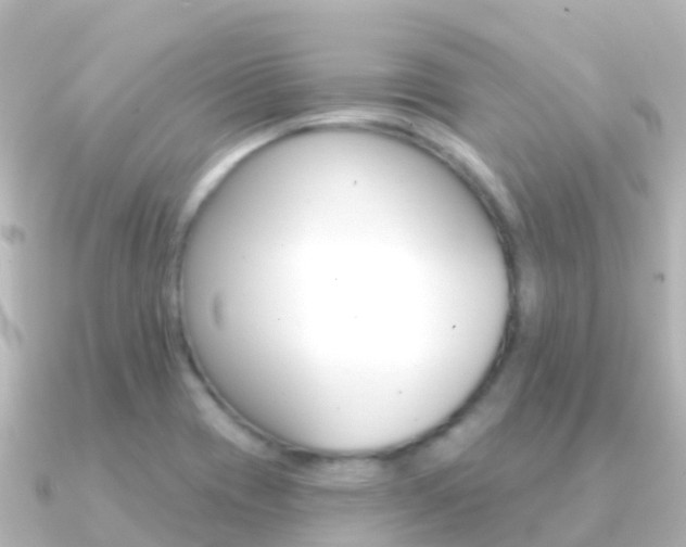 X0000091351417200708101029