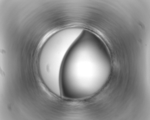 X0000091351418200708101029
