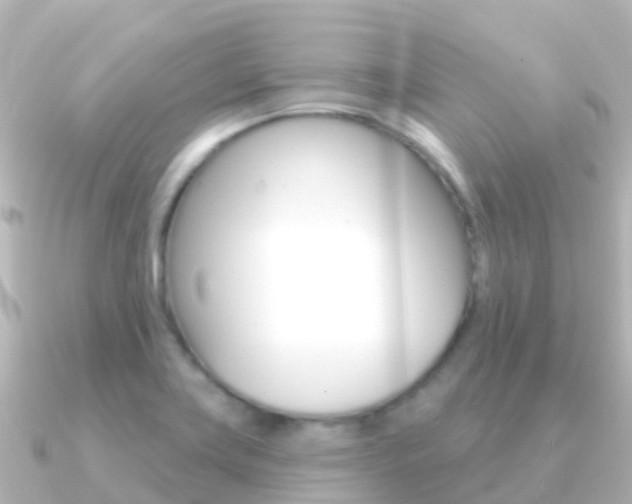 X0000091351419200708101029