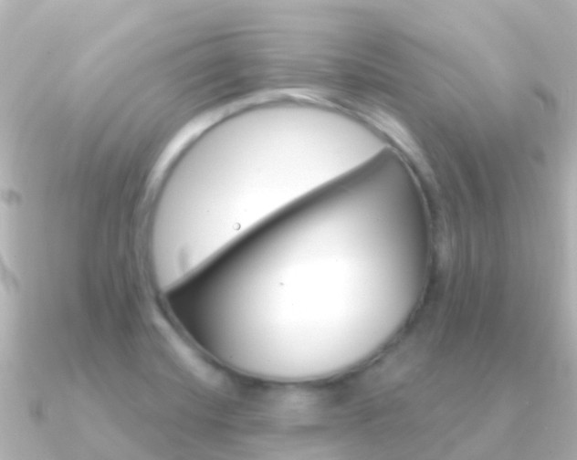 X0000091351420200708101029