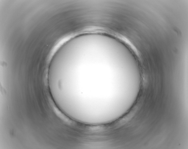 X0000091351421200708101029