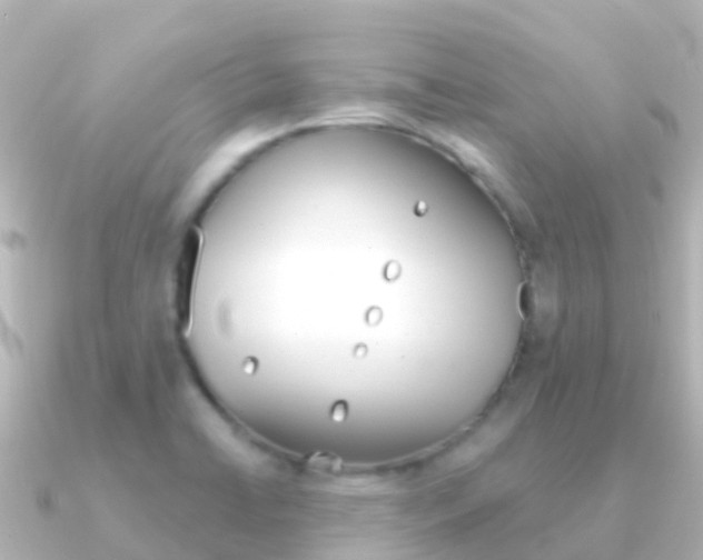 X0000091351422200708101029