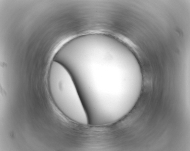 X0000091351423200708101029