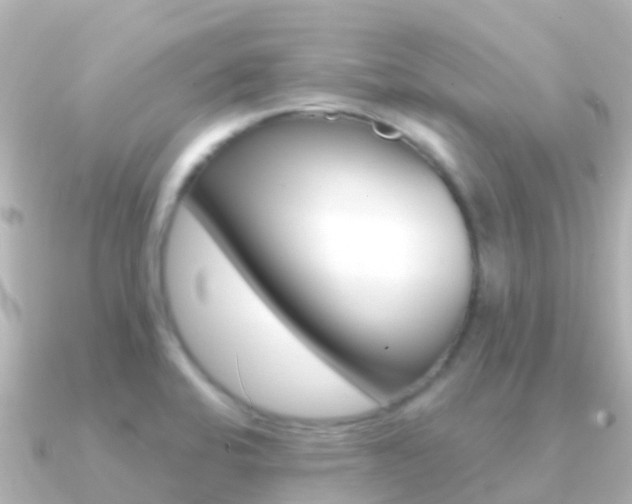 X0000091351424200708101029